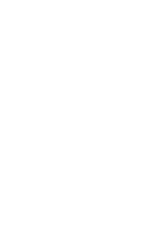 Scrach Vector